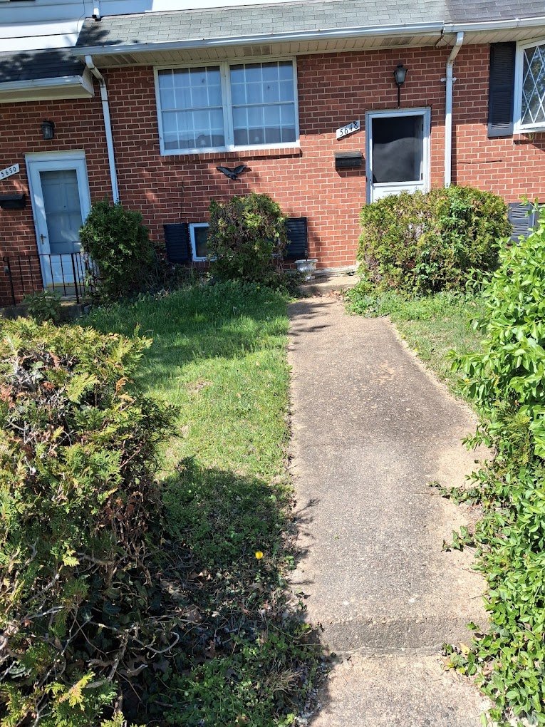 Junk removal job