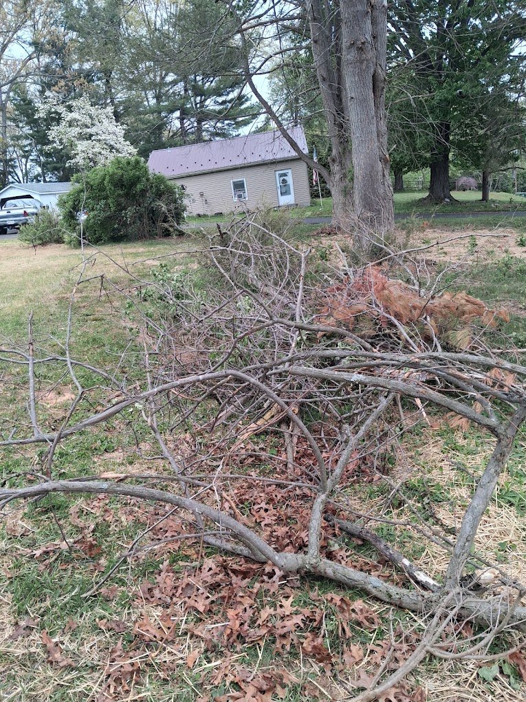 Furniture removal pickup